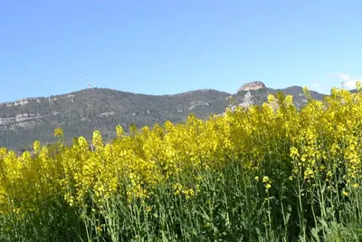 Image de Apartamento El Roc Gros