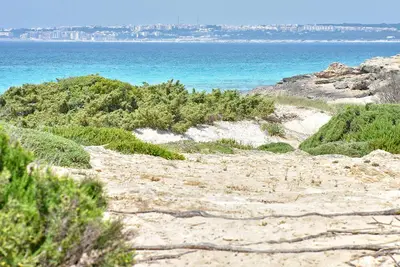 Image de Bel appartement de 2 chambres à.