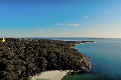 Image de Bush Baby at Blenheim Beach, Vincentia