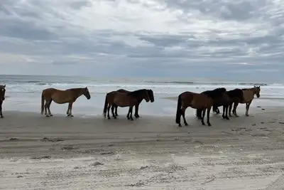 Image de Family Friendly Currituck Club Amenities Minutes to beach Sunday-Sunday rental
