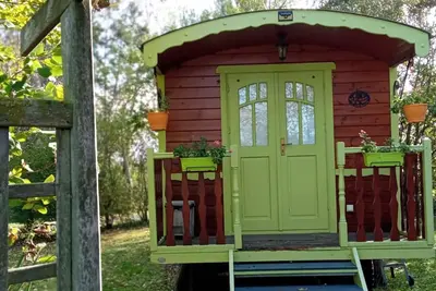 Image de Roulotte bucolique en bois avec terrasse, Vallée de la Sarthe