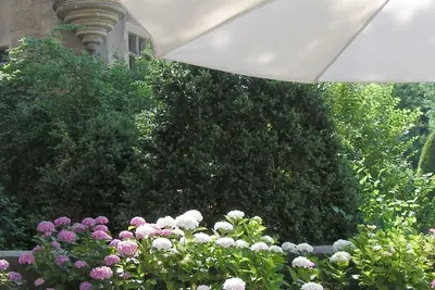 Image de Studio Meuble Classe 3* Ideal Curistes, Terrasse De 30m2, Magnifique Vue