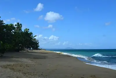 Image de Garden by the Sea