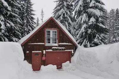 Image de Private Mountain Cabin - Pet friendly and fast internet