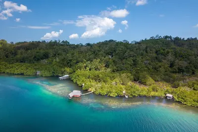 Image de Exclusive Jungle Retreat on Bioluminescent Lagoon
