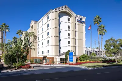 Image de Unforgettable Stay! 1 Stunning Unit, Pool, Pets Allowed, Shuttle Service!