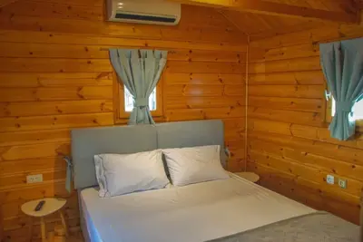 Image de Wooden Home