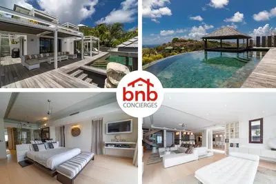 Image de Fleur De Cactus with Pool -Magnificent Ocean View!