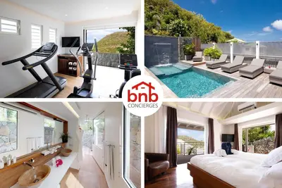 Image de Stylish Villa Lenalee with Waterfall Pool and Gym