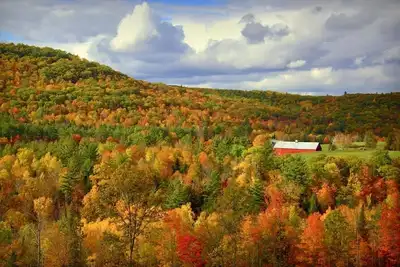 Image de Tranquility:  Secluded White Mountains New Build Custom Log Home on 5 acres