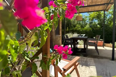 Image de Appartement de vacances Leventochori pour 1 - 5 personnes - Maison de vacances