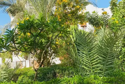 Image de Vacation apartment in the villa district of Sharm el Sheikh, Egypt