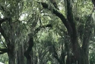 Image de Just off Hwy 90 near Walmart close to work shopping and easy access to I-10