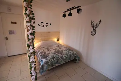 Image de Appartement T1 tout confort au Lac du Der