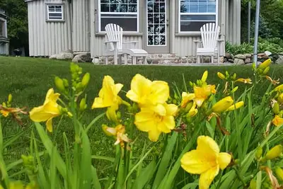 Image de Cozy Cabin on Paradise Lake