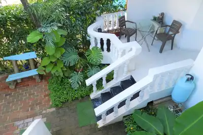 Image de A green oasis within the city.