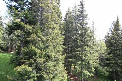 Studio Chamrousse, 1 pièce, 4 personnes