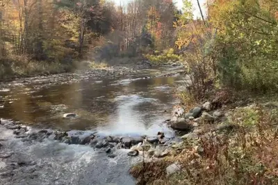 Image de Waterfront Ski House, close to Mt. Snow and Stratton!