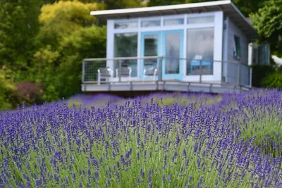 Image de Betty's Blue - A Room with a View