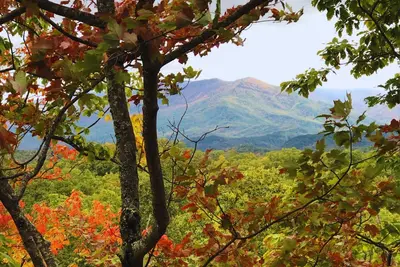 Image de Beautiful 3br w/king beds cabin with Amazing View!