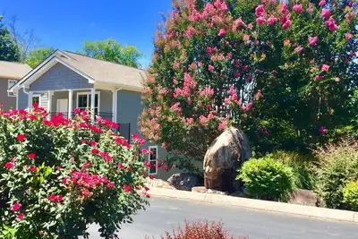 Image de Great Value-Safe Gated Community-Hot Tub-Pool-Clubhouse-Visit The Smokies!