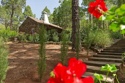 Image de Idyllic volcanic stone chalet in a pine grove on the edge of the national park