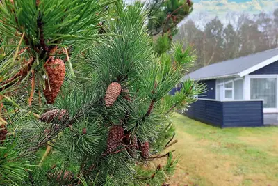 Image de Serenite en bord de mer a Hals-By Traum