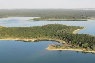Image de Les Moineaux  La Ferme des Tourterelles