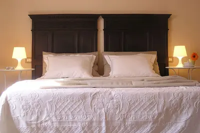 Image de In the heart of Florence, Foglia