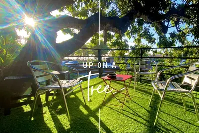 Image de Tiny house by the sea with its private pool - under a tree