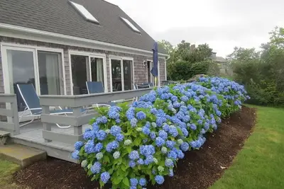 Image de Charme 3 chambres, 2 salles de bain qui peut accueillir 8. Traversez la rue de la plage et passer vos journées au soleil et froides eaux chaudes, tout en profitant de la vue du sanctuaire Monomoy Wildlife. Grand espace pour se détendre et divertissant
