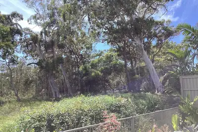 Image de Noosa/Coolum 2 Bedroom s/contained studio apartment