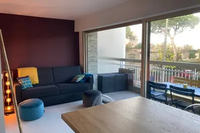 Image de Magnifique 2 pièces refait à neuf avec terrasse et parking, 50m accès plage