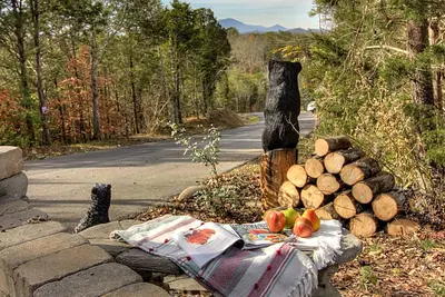 Image de Family CoZy cabin! View! Bearadise!
