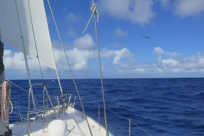 Image de A Moveable Feast Ii