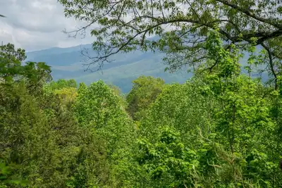 Image de 1 Notre cabine n'a pas été affectée par les feux de forêt. Février esprit spécial de 99 $ la nuit de