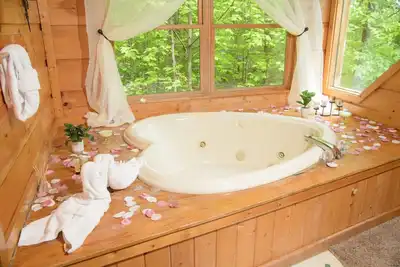 Image de 2 Notre cabine non affectée par les feux de forêt spéciaux $ 89 Nt février! Peluches Bears Hideaway