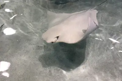 Image de Rooms available for rent to traveling medical and fire staff