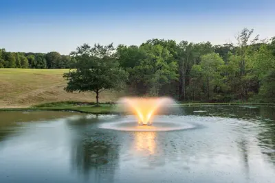 Image de Heron's Hollow 2 bedroom spacious farm stay on 30 acres