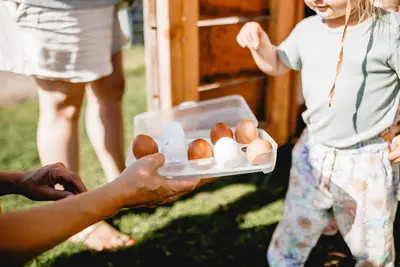 Image de Vacation apartment/apartment for 4 guests with 80m² in Grasberg (96333)