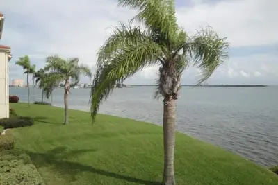 Image de Waterfront 2br condo in St. Petersburg with pool, hot tub & balcony.