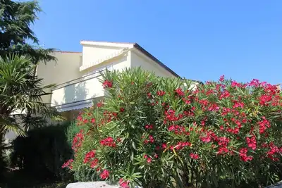 Image de Spacious apartment Grahovac 4 ideal for families with children