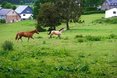 Image de Beautifully renovated farmhouse of 1872
