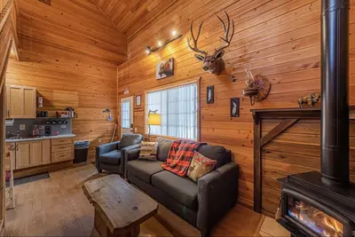 Image de Buffalo Herd Cabin#1 PetFriendly Backs Nat'l Forest-Wifi+Kitchn-GameRoom+HeatAC