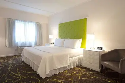 Image de The Roslyn, Tapestry Collection by Hilton - One King Bed #5