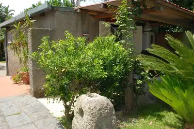 Image de Studio-Classique-Douche-Vue sur Jardin