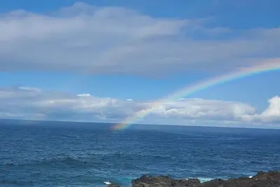 Image de Oceanfront Studio · Oceanfront Studio. See whales, turtles & dolphins!