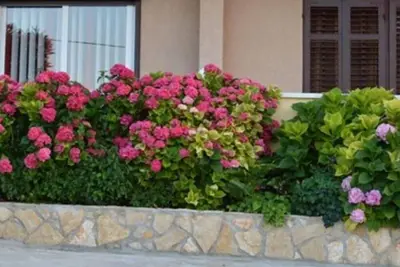 Image de Appartement de vacances Veli Losinj pour 1 - 4 personnes avec 2 chambres à coucher - Appartement de