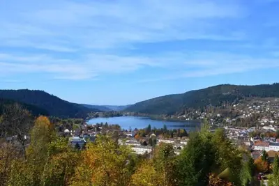 Image de Chalet l'Ourson à Gérardmer, vue imprenable lac, Chalet l'Ourson