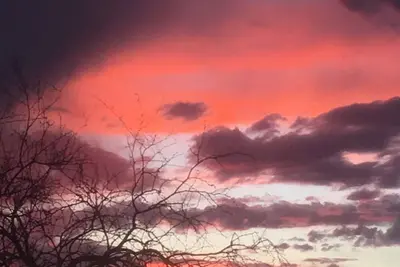 Image de Gallo Libre Ranch